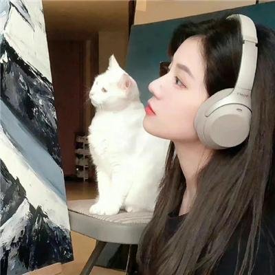 小莫莉大冒险